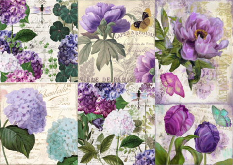 La Tiendita Shabby Chic- Lamina De Seda 50x70 - Vsn24