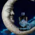Gin Hendrick´s Lunar - comprar online