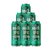 Six Pack American IPA Rabieta 473ml
