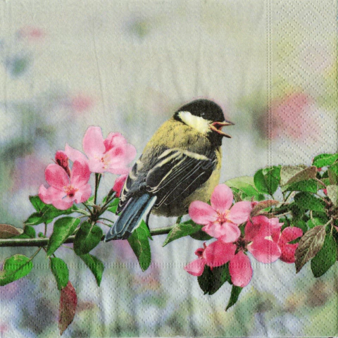 Servilleta decoupage PAJARITO X5 - comprar online