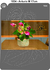 1034 - Anturio M - buy online