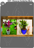 1038 - Dracena Cordyline G 28cm - comprar online