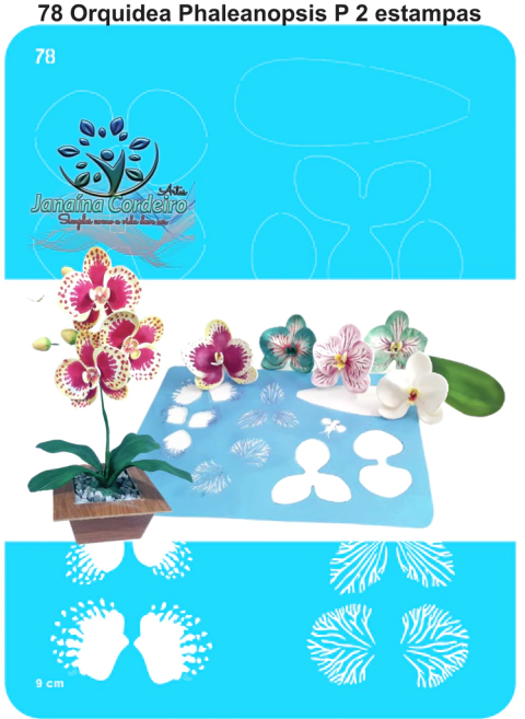 78 - Orquídea Phalaenopsis P