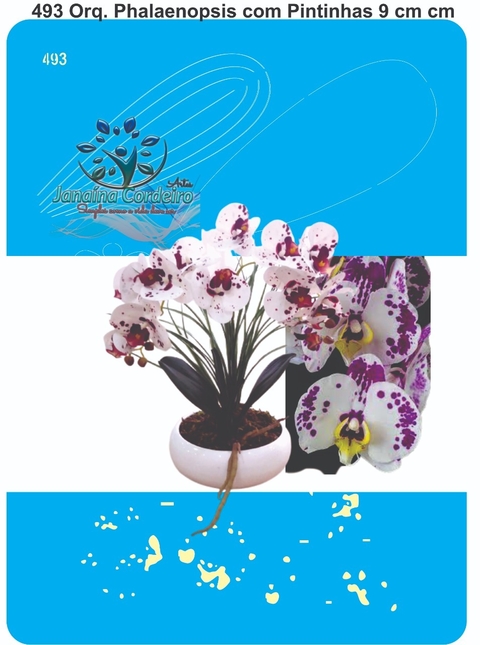 493 - Orquídea Phalaenopsis com Pintinhas (9cm)