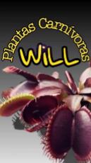 Will plantas carnívoras