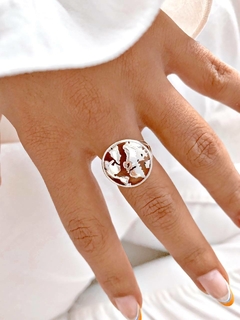 ANILLO WORLD - PL en internet