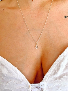 CONJUNTO CORONITA - PL en internet