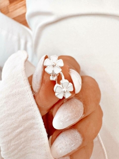 ARGOLLAS PHLOX - PL