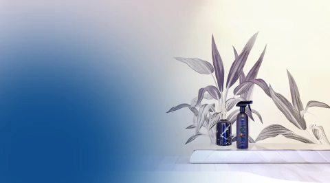 Vídeo de Piipee - Economia de água 