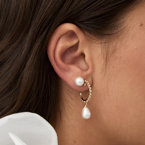 Argola Seed - buy online