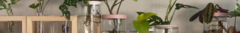 Banner de la categoría HIDROTERRARIOS