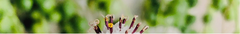 Banner de la categoría MACETEROS CON PIE