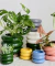 MACETA MATILDE - Atelier Botánico | Plantas y cosas lindas