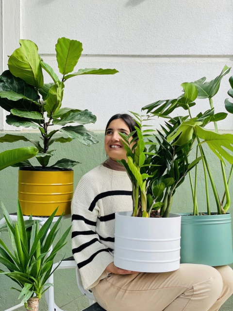 MACETA RELIEVE TRIPLE - tienda online