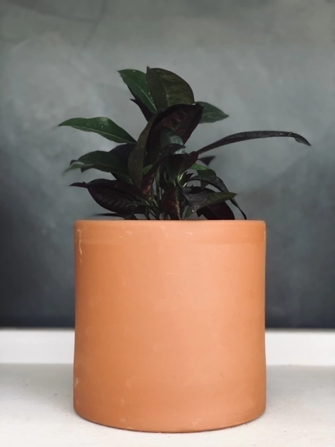 MACETA CILINDRO TERRACOTA en internet