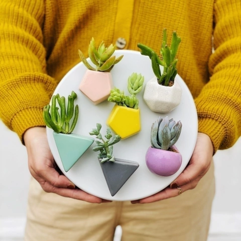 Imagen de MACETA IMÁN