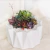 Imagen de MINI JARDIN PAILA ORIGAMI