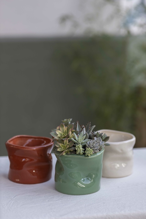 MINI JARDIN METEORO