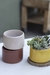 MINI JARDIN CARDENAL - comprar online