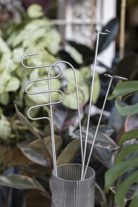 Set de cuatro tutores de acero inoxidable con diferentes formas para plantas trepadoras, rastreras o de tallo grueso