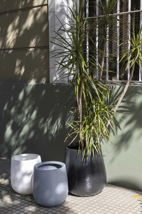 Maceta Copa Lisa liviana para plantas grandes resistente al sol