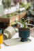 MACETA GALA - Atelier Botánico | Plantas Y Cosas Lindas