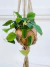 CUELGAMACETAS BABILONIA - comprar online