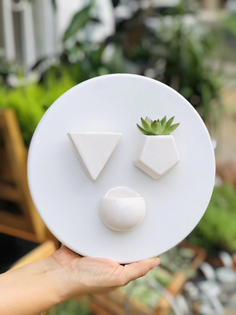 MACETA IMÁN - comprar online