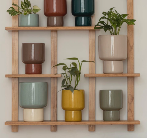 MACETA CARDENAL GRANDE en internet