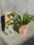 MACETA PARCHES - Atelier Botánico | Plantas Y Cosas Lindas