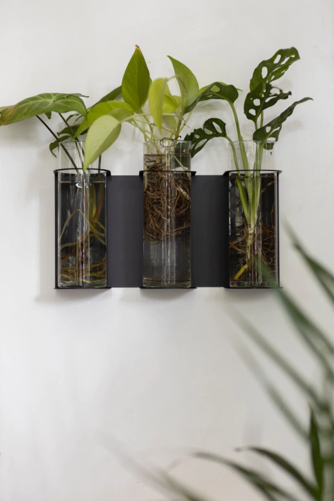 Hidroterrario Triple Hidra metálico con tubos de vidrio