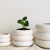 MACETA MATILDE - Atelier Botánico | Plantas y cosas lindas