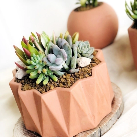 Mini jardín paila origami con suculentas en maceta de cerámica