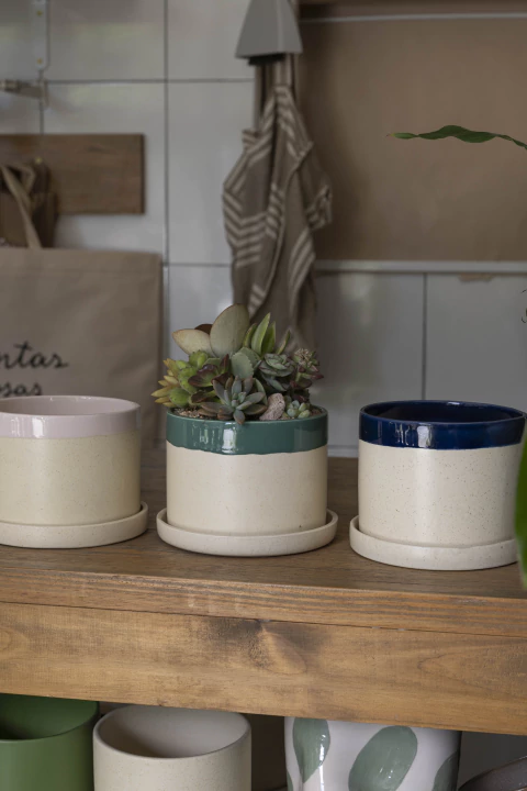 MINI JARDÍN MATIZ - Atelier Botánico | Plantas Y Cosas Lindas