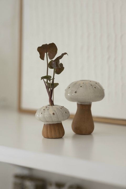 HIDROTERRARIO CHAMPI - comprar online