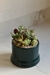 MINI JARDIN AMAPOLA
