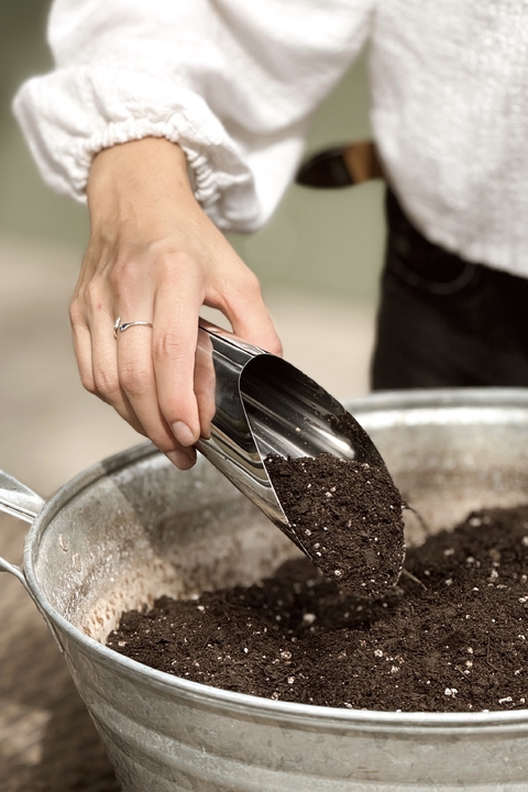 PALITA JARDINERA ÁLAMO - comprar online