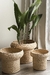 CANASTO RODAS - comprar online