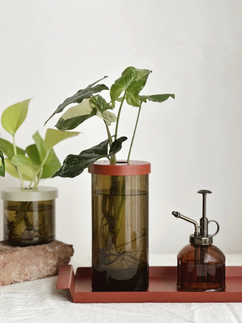 HIDROTERRARIO METAL HUMO en internet