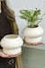 MACETA PORTOBELLO - comprar online