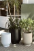 MACETA YUNGA C/PLATO - Atelier Botánico | Plantas Y Cosas Lindas