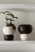 MACETA ASTROS BICOLOR - Atelier Botánico | Plantas y cosas lindas
