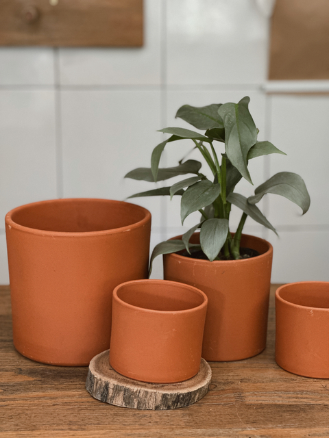 Maceta Cilindro terracota barro natural para exterior