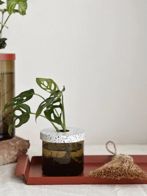 HIDROTERRARIO METAL HUMO - Atelier Botánico | Plantas Y Cosas Lindas
