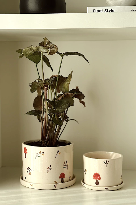 MACETA OTOÑO - comprar online