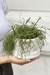 MACETA CERAMICA BLANCO JASPEADO RHIPSALIS