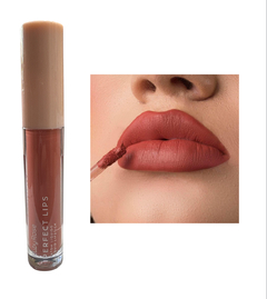(HBL6200-2) Labial liquido perfect lips POSITIVITY - RUBY ROSE - comprar online