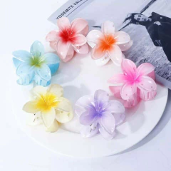 SET de 6 broches FLOR HAWAIANA colorida para pelo - tienda online