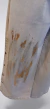 Jeans Palazo semi elastizado Beige "Arte" ART9255 en internet