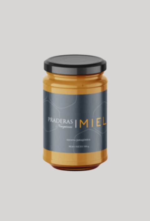 Miel pura de flores silvestres de la Patagonia